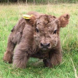 Meet your Posher, Staci